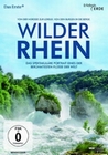 Wilder Rhein