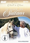 Die Pferde des Sultans - Hoch zu Ross