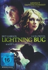 Lightning Bug