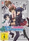 Love, Chunibyo & Other Delusions! - Vol. 4