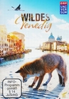 Wildes Venedig