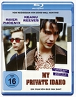 My private Idaho - Das Ende der Unschuld