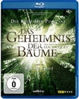 Das Geheimnis der Bume