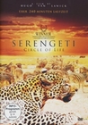 Serengeti - Circle of Life