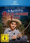 Die Abenteuer des Huckleberry Finn