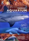 Faszination Meeresaquarium